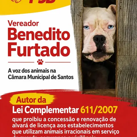 Arte sobre lei municipal de proteção animal de autoria de Benedito Furtado.
